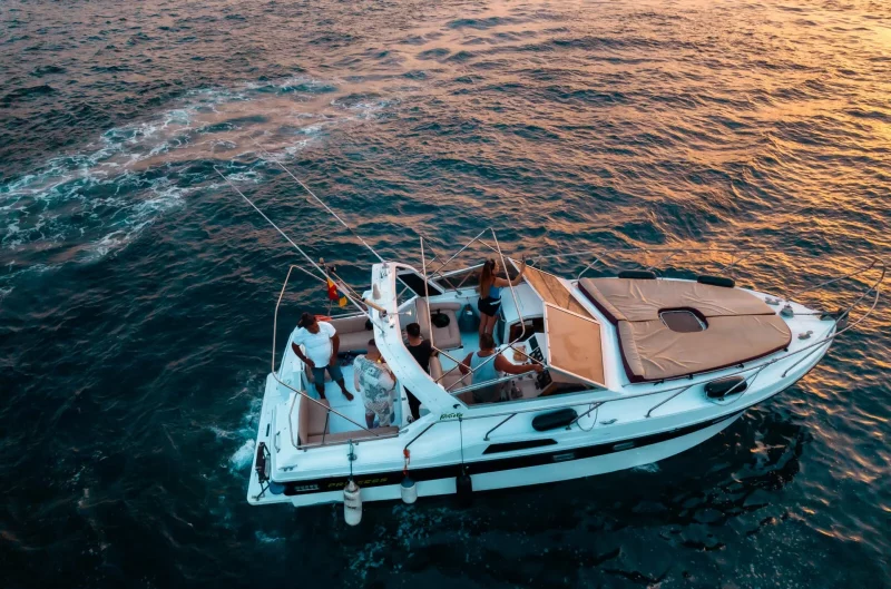 excursion en barco en tenerife
