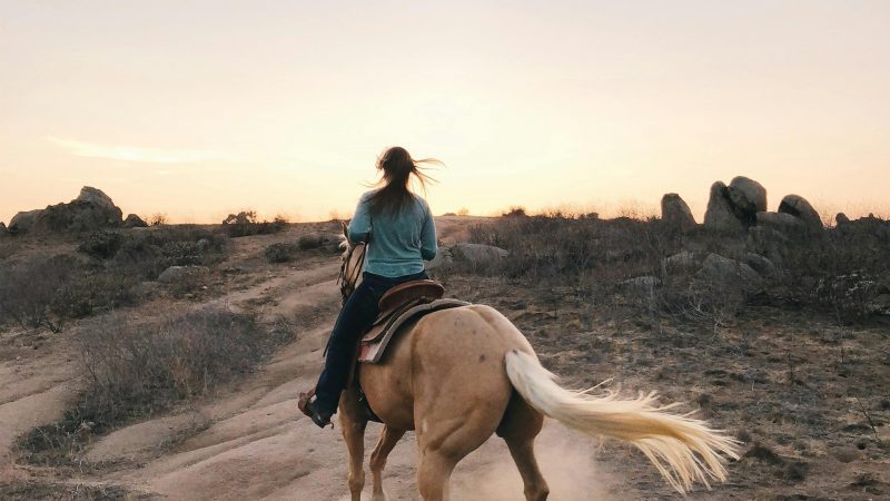 Paseo a caballo en Tenerife