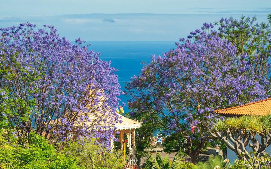 Semana Santa en Tenerife: Planes imperdibles para una escapada diferente